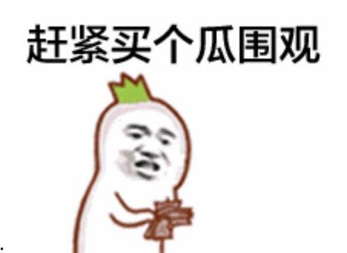 抖音娱乐圈吃瓜群众群聊,吃瓜群众揭秘明星幕后故事